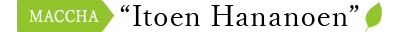 MACCHA Itoen Hananoen